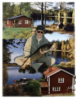 Mycket att gra i och kring Risebo!